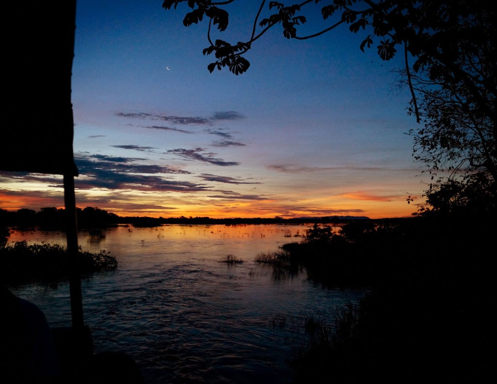 "Come faccio a catturare questo momento?"<br><br>"Non puoi farlo. Assicurati di stamparlo per sempre nella memoria."<br><br>---Pantanal, Brasile, 2016