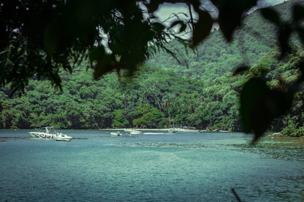 Se ero euforica?<br> Ovunque guardassi, montagne e colline selvagge ricoperte di giungla, che portavano a spiagge nascoste, mi chiamavano.<br> I miei occhi divoravano tutto quel verde. Non sapevo nemmeno dove andare. Nel senso, da dove iniziare: l'intera isola stava urlando il mio nome.<br> <br>---Ilha Grande, Brasile, 2016