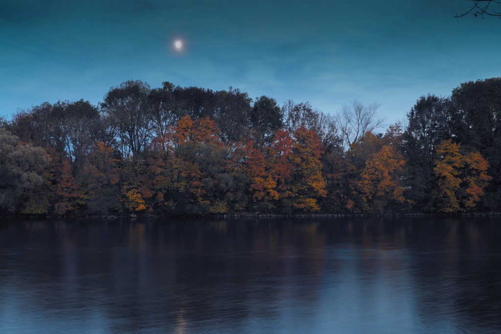 Biscotti di cannella. Tè caldo. Candela alla vaniglia. Luna piena. Notte d'autunno inoltrato.<br> Tornando a casa attraverso il parco da casa della mia amica.<br><br>Freddo? Non c'ho fatto caso. Sentivo così caldo dentro.<br> <br>---Monaco d. B., Germania, 2015