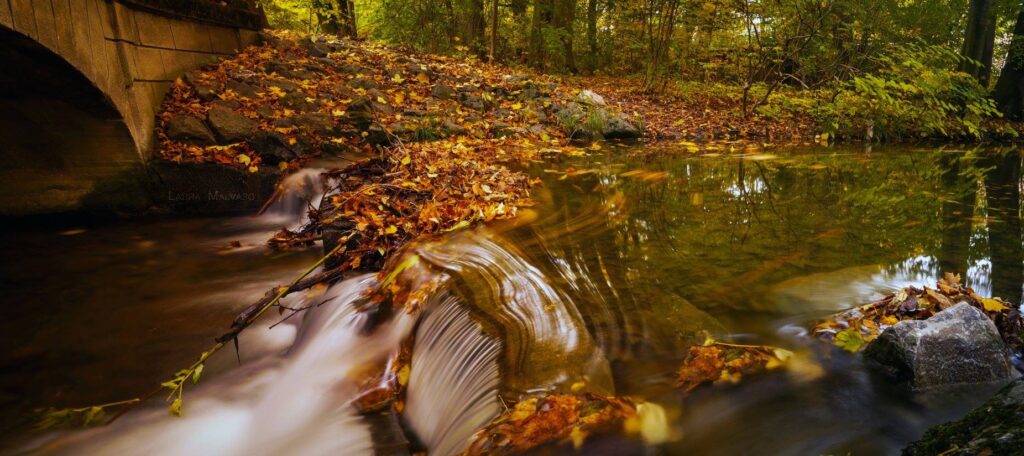 The flowing mirror